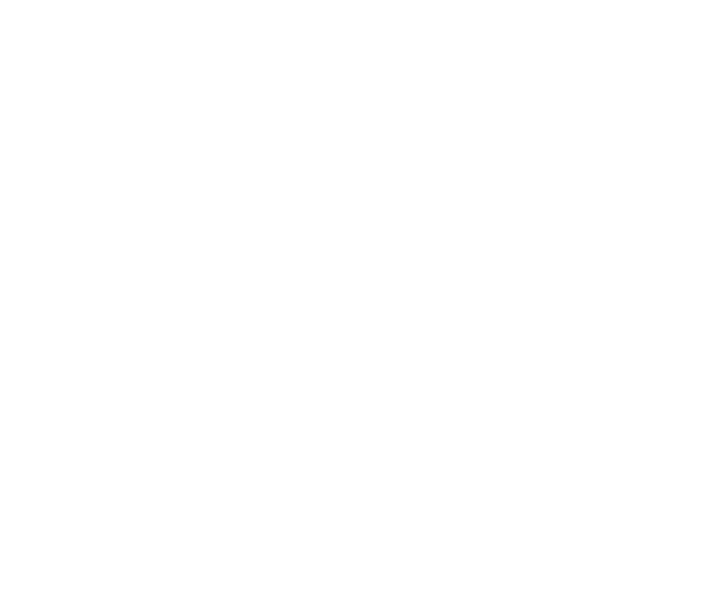 Stone Live Current IPA